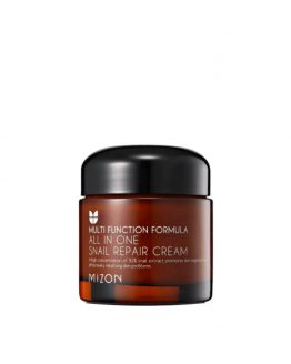 Mizon All In One Snail Repair Cream 75ml copy